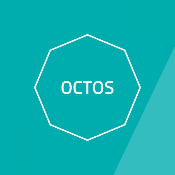 style guide and branding design sydney agency octos logo design agency