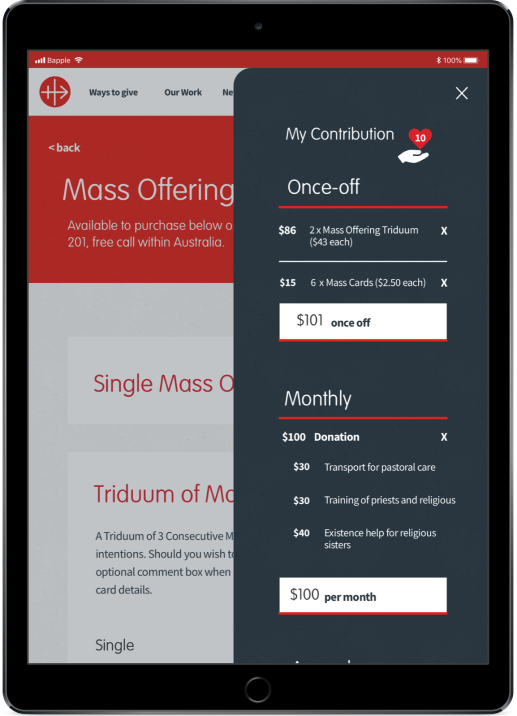 Donation shopping cart for a custom charity website design ACN