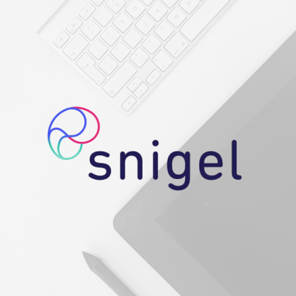 style guide and branding design sydney agency snigel logo design agency